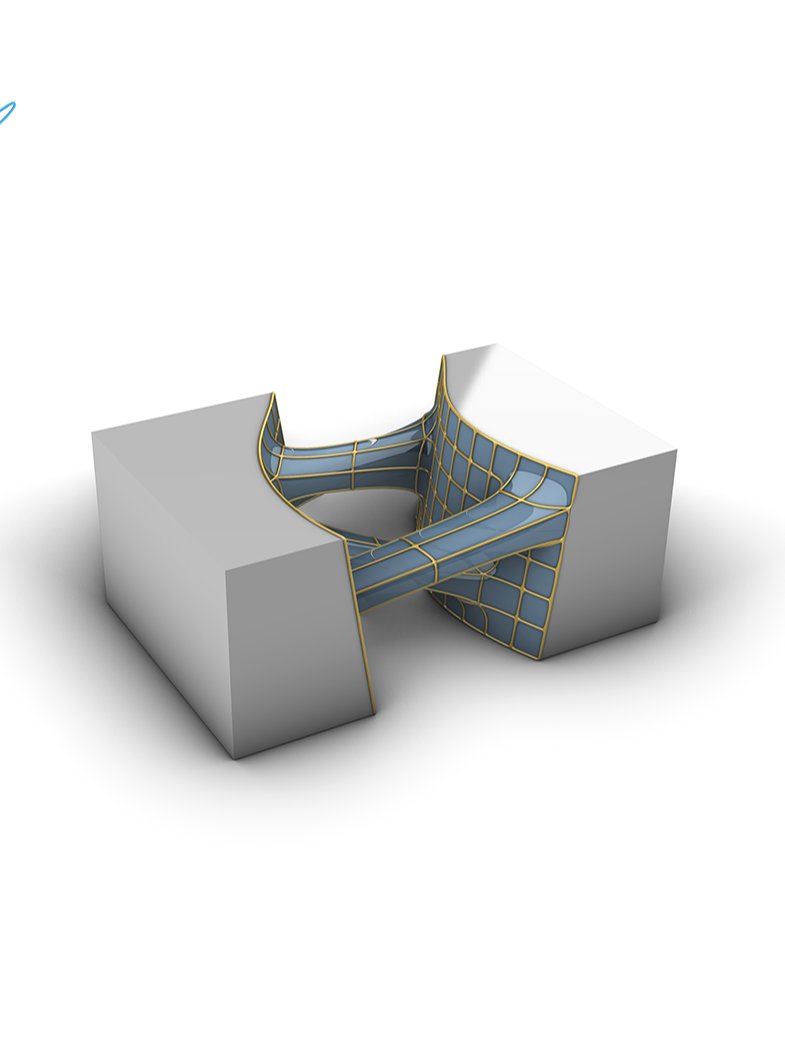 Rhino – EX 16 – SubD loft + SubD bridge product image (1)