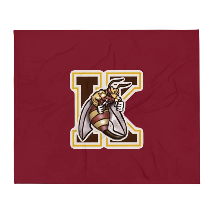 KERMIT BLANKET product image (2)