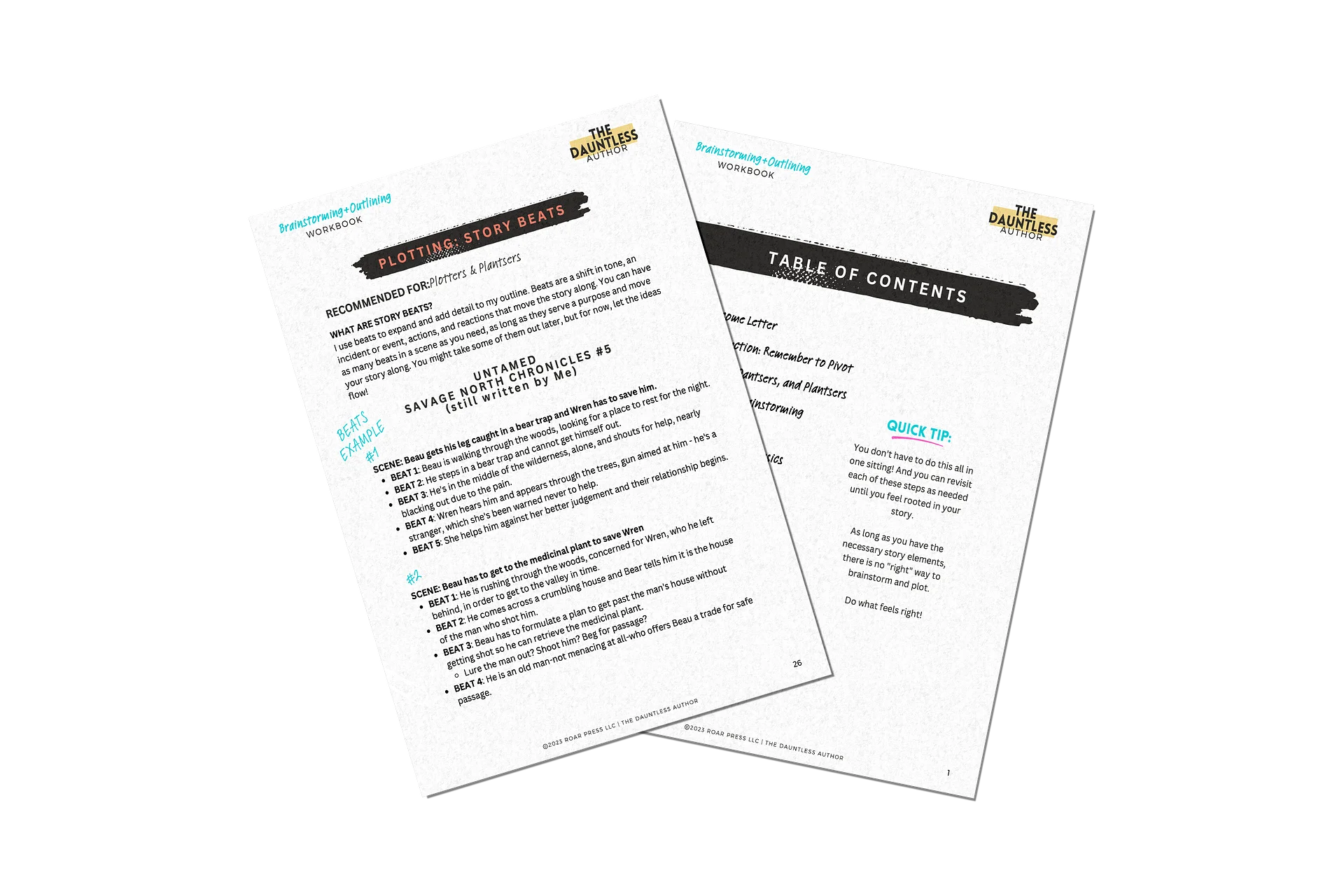 THE NOVEL: A Story Simplified Workbook (Printable) product image (4)
