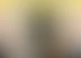 Crash Dummies's tag thumbnail