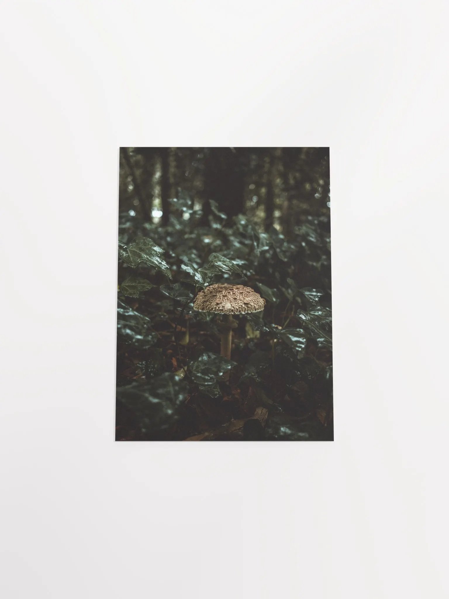 Frade product image (16)