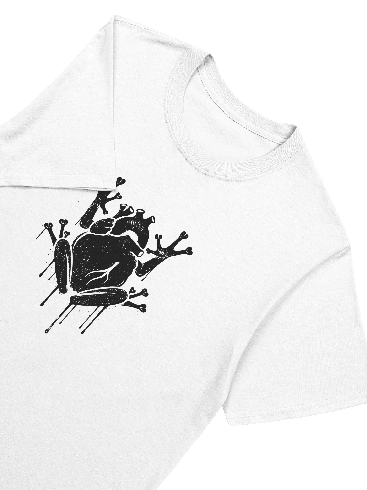 Canto del Corazón product image (2)