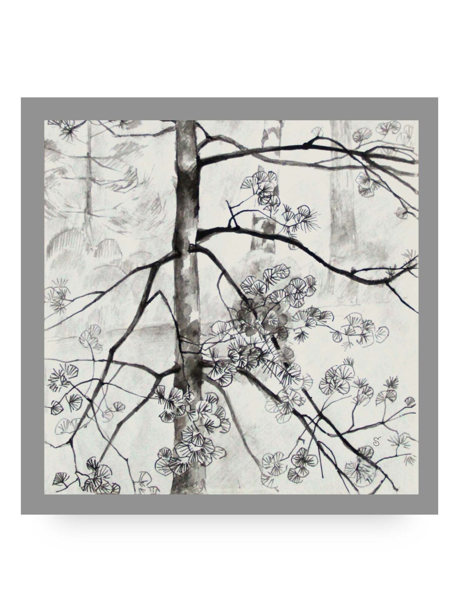 Eternal Growth Canvas - Young Pine Tree product image (12)