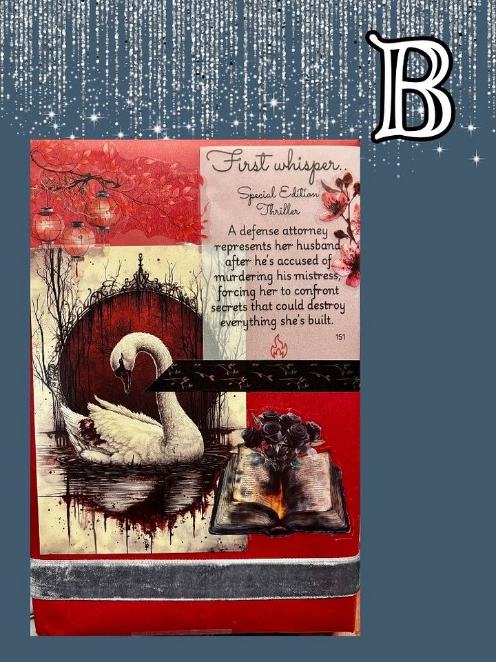 SPECIAL EDITION Blind Date With A Book product image (1)