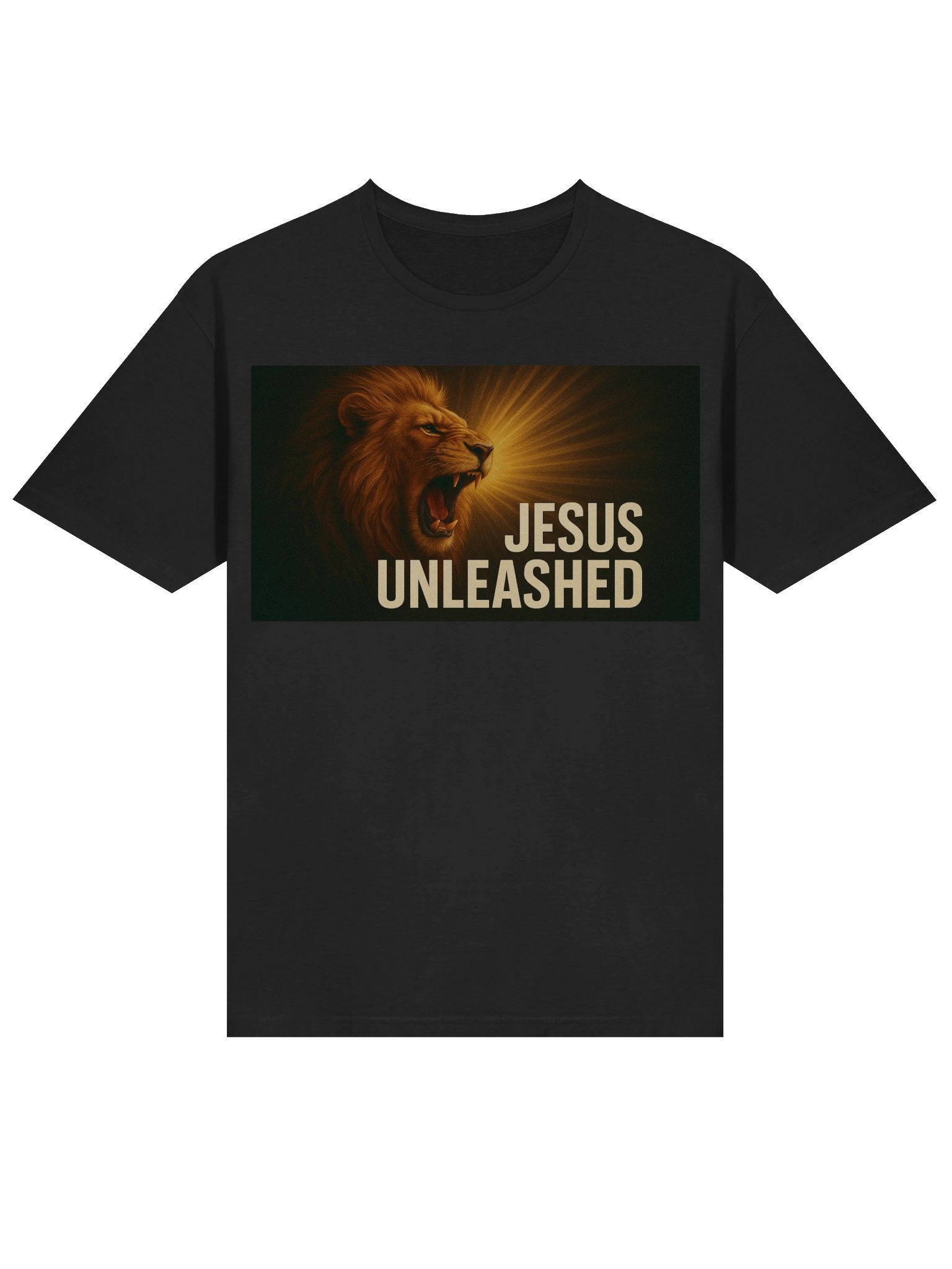 jesus unleashed product image (3)