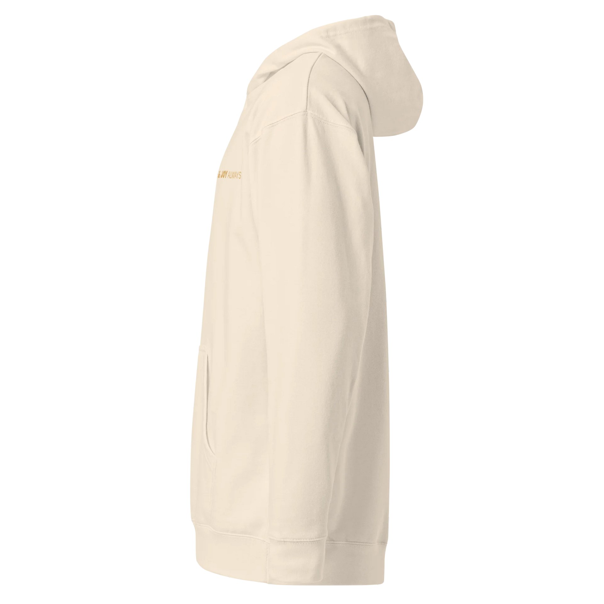 Soully Mine- GOLD PRINT Boundaries First. Love & Joy Always Hoodie product image (18)