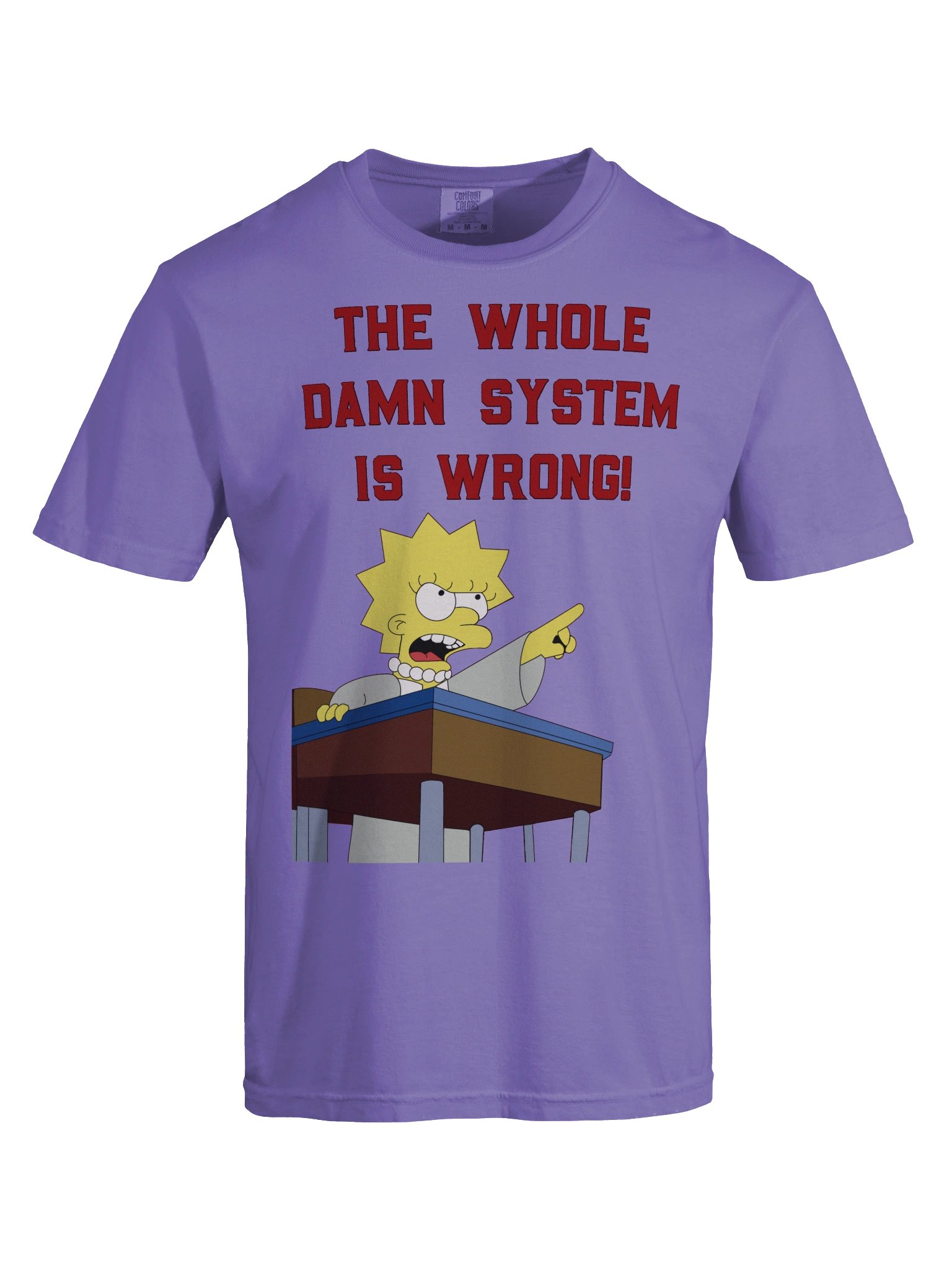 Whole Damn System is Wrong T-Shirt product image (35)