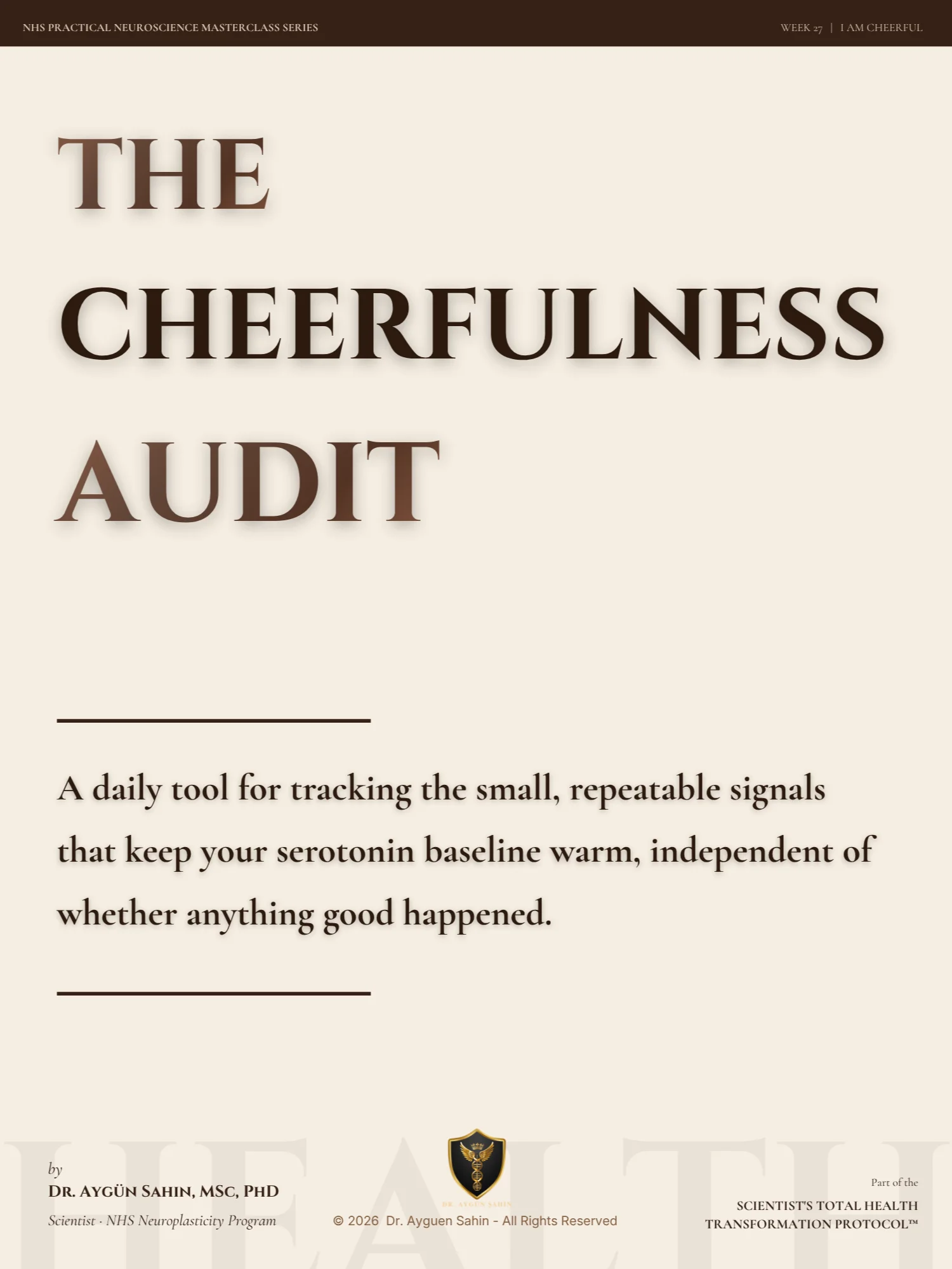 The CHEERFULNESS Audit product image (1)