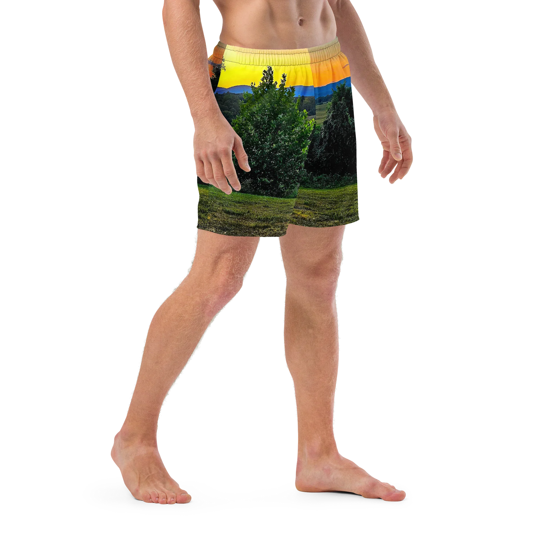 Appalachia Sunset Swim Trunks product image (6)