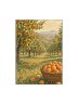 Apricot Orchard Drawing Book