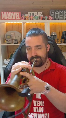 Ewigi Liäbi von Mash - Schweizer Musik Special. #swissmusic #cover #mash #twitch #livemusic