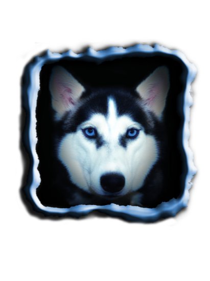 Blue Eyed Husky Digital Product product image (1)