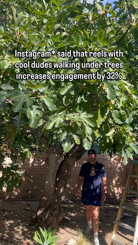 Curious to see if this works!!! Type FIG FAM in the comments if this reached you!

#algorithim #figs #figtree #figfluencer