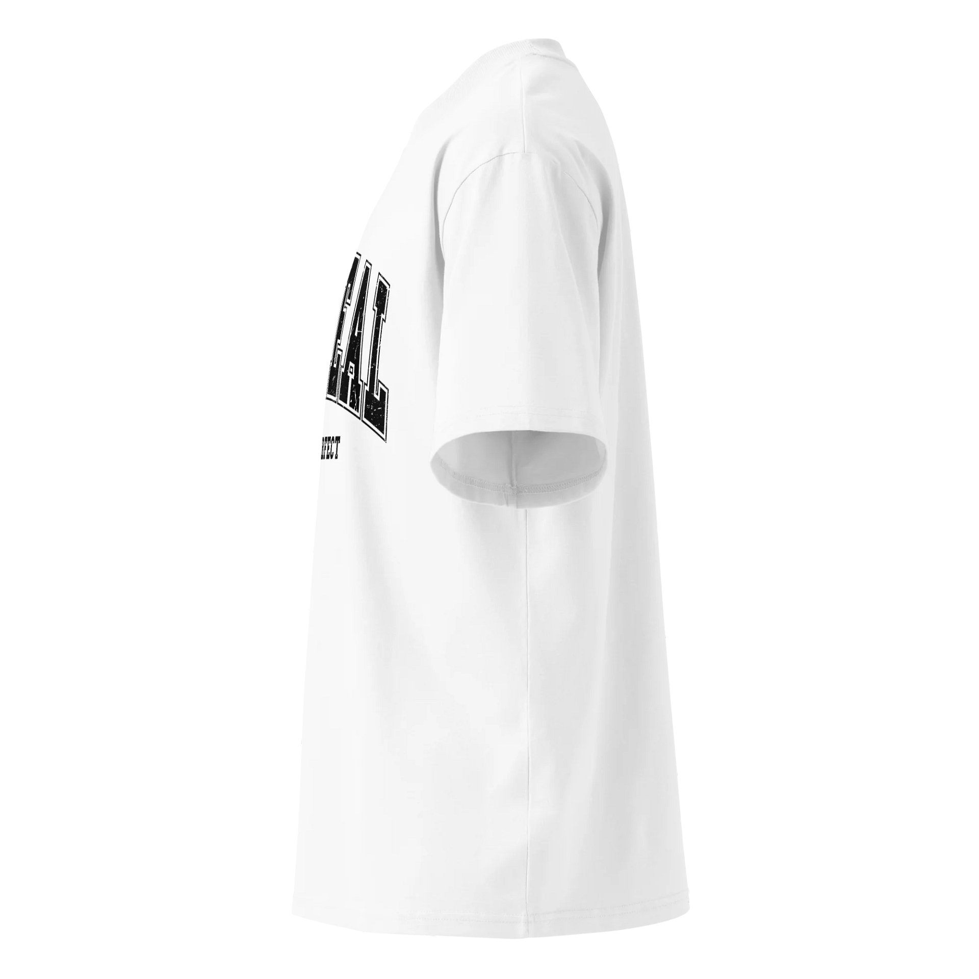 Be Real Not Perfect Oversized T-Shirt | 100% Organic Cotton product image (12)