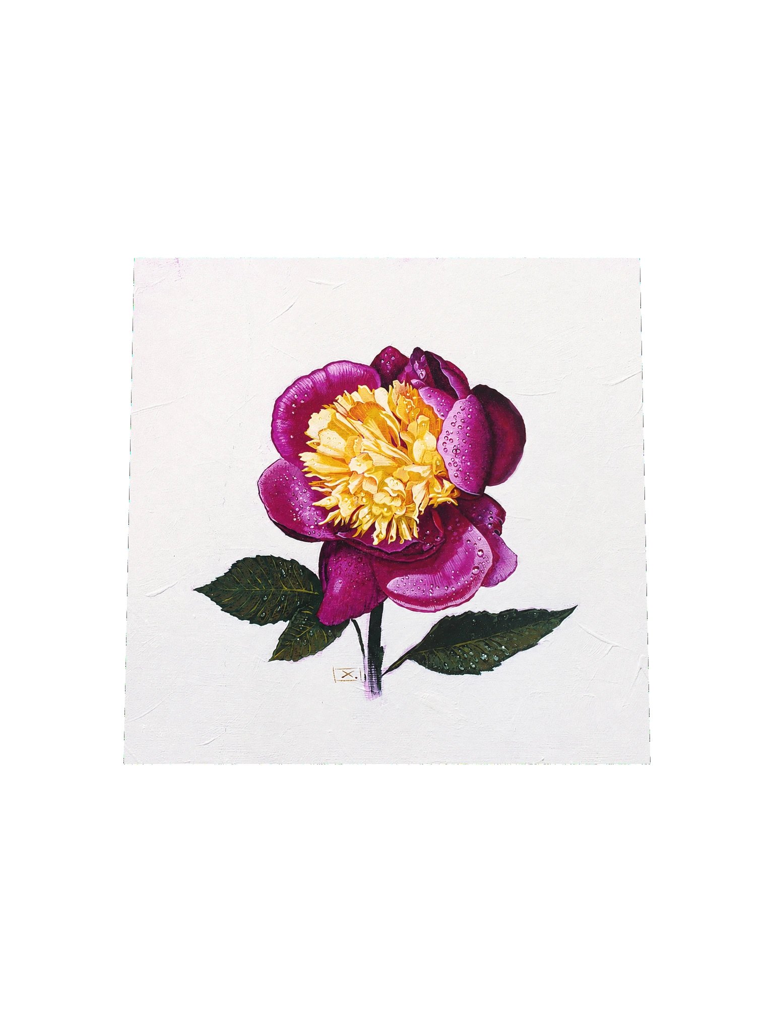 Peony After the Rain product image (4)