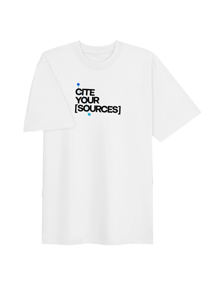 The "Cite Your Sources" Oversized Tee (in the Light) product image (2)