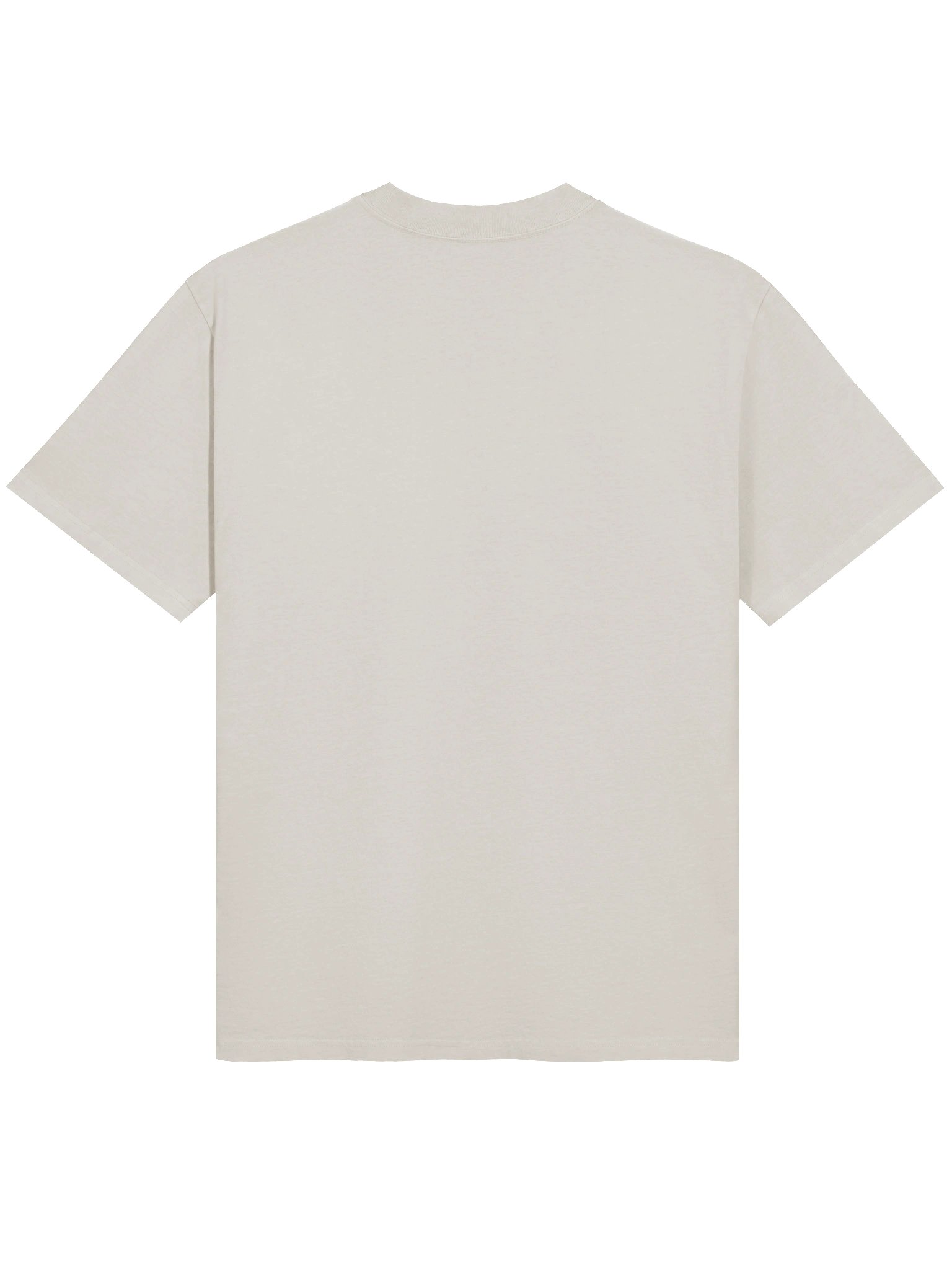 Venomous Beauty: Poison Ivy Thorned Temptation Oversized Faded Unisex T-Shirt product image (6)