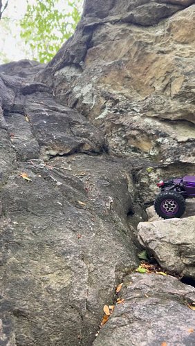 A little crawl outting with @boomslang_suspension