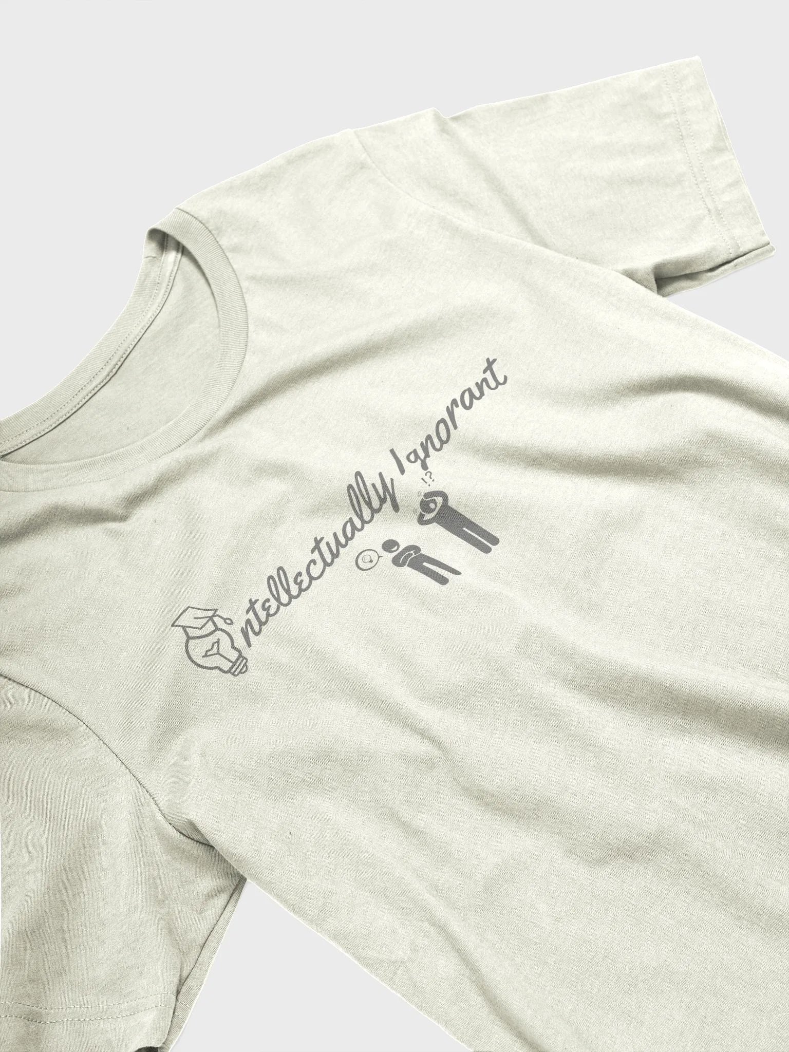 Intellectually Ignorant (GREY LOGO) Tee Shirt product image (30)