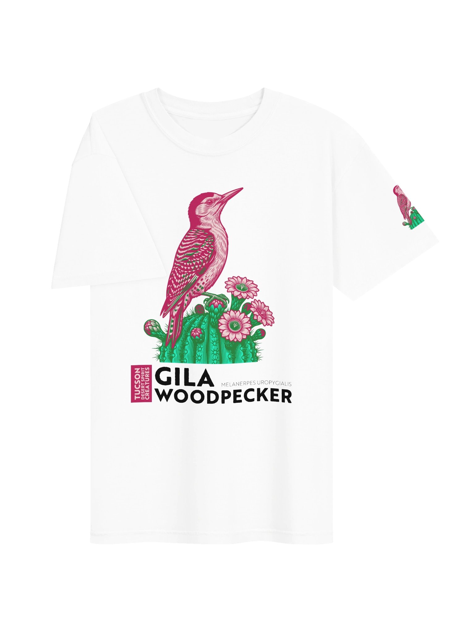 GILA WOODPECKER product image (25)