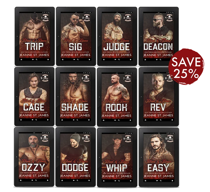 Blood Fury MC Ebook Bundle product image (1)