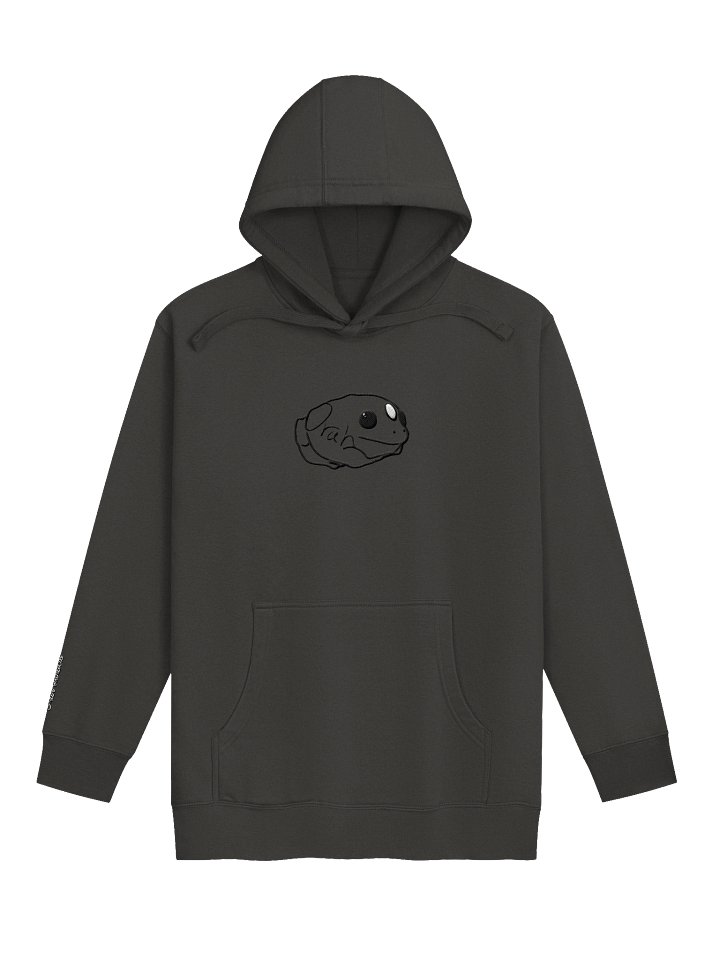 embroidered hoodie product image (1)