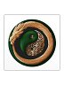 Clan Emblem