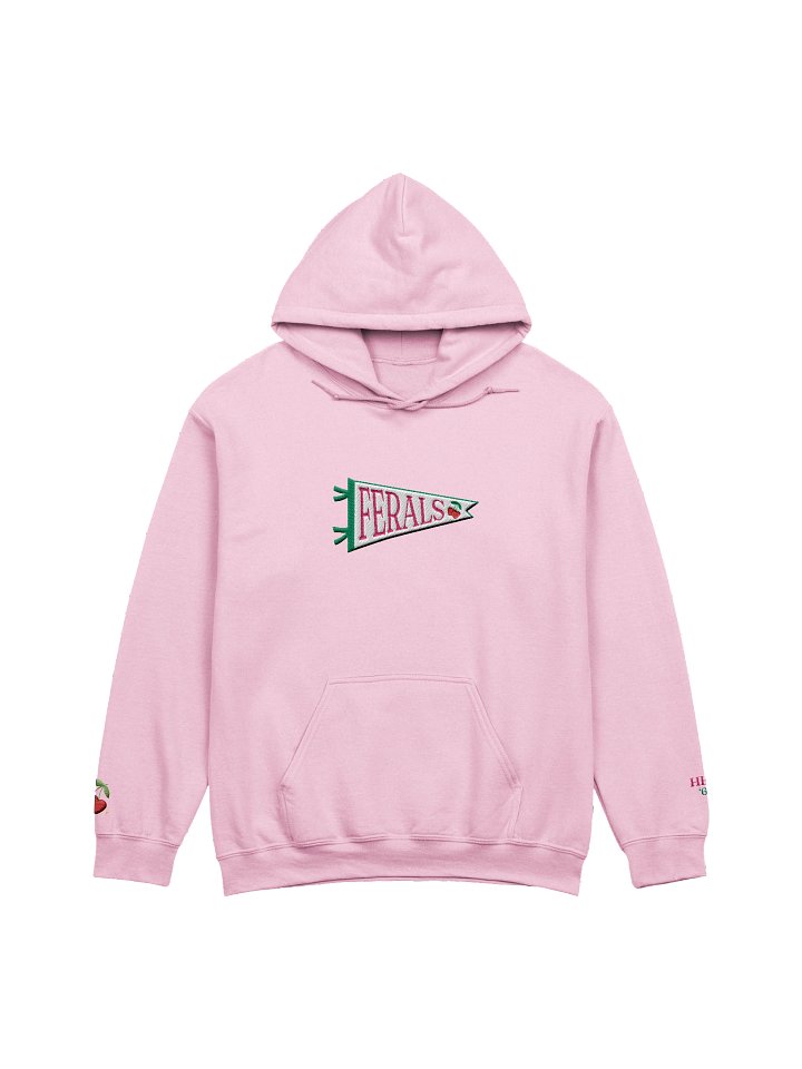 hhu ferals embroidered hoodie product image (1)