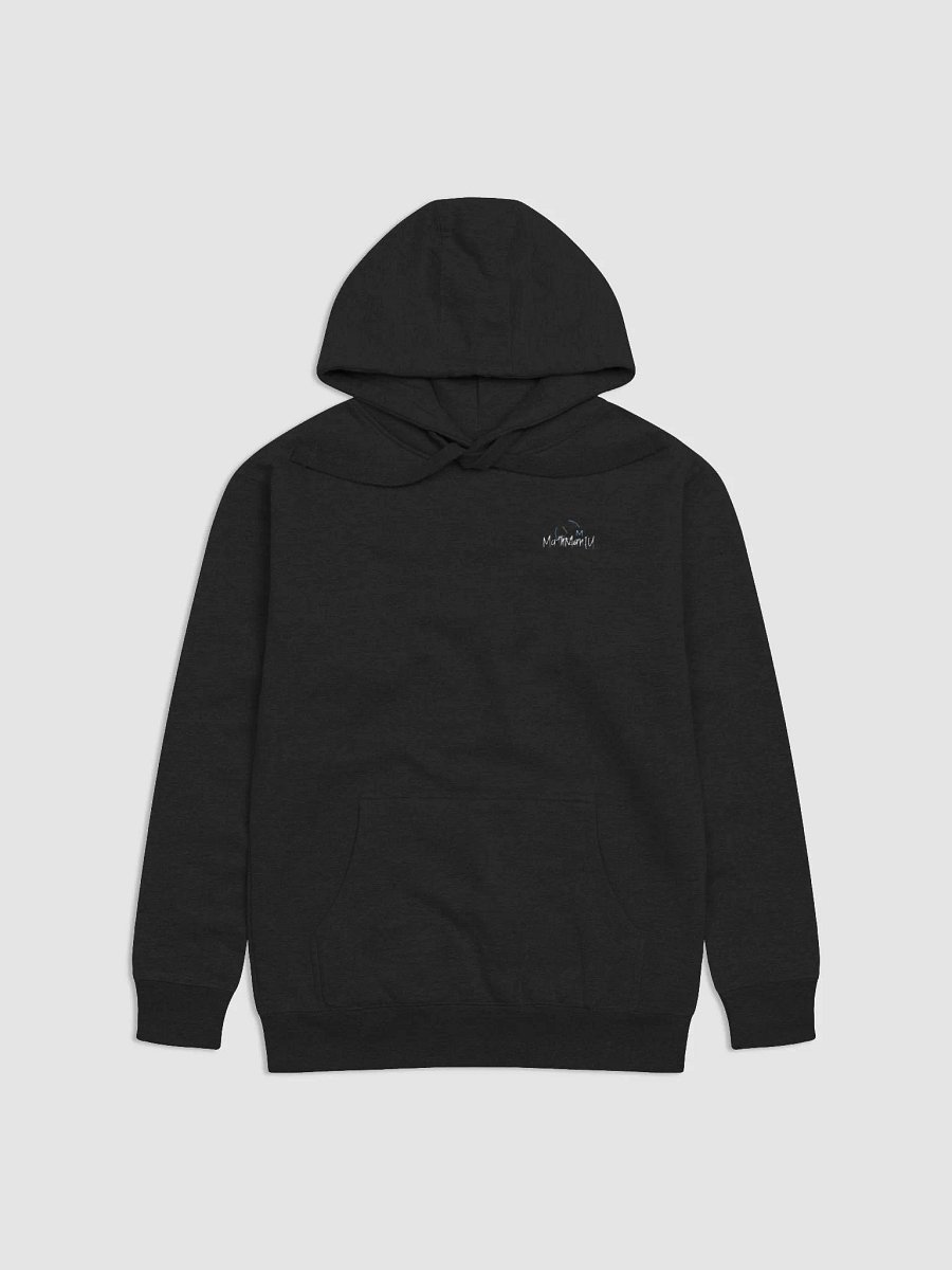 Streetwise Hoodie - Coy product image (2)