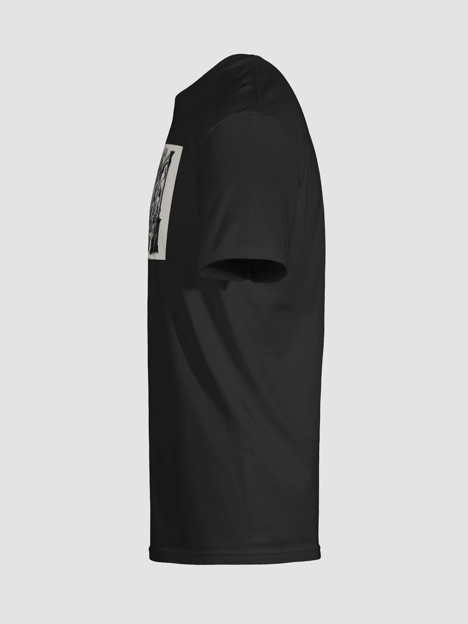 Dragon 12 product image (26)