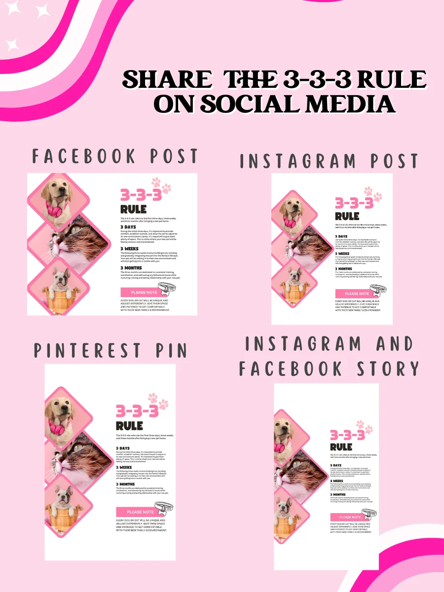 3-3-3 Rule Flyer & Posts product image (4)