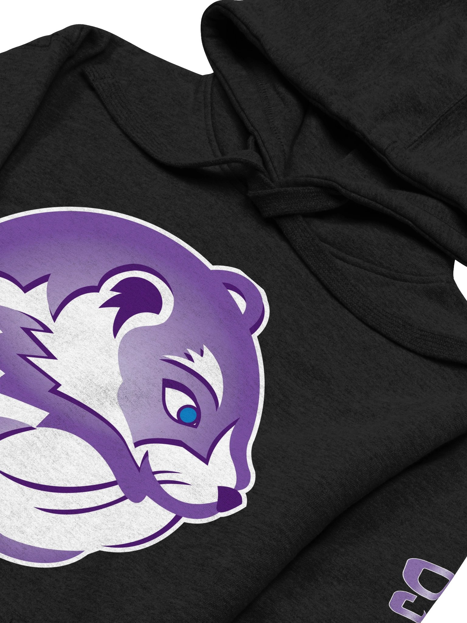 DJ Weasel 2025 Edition Hoodie product image (3)