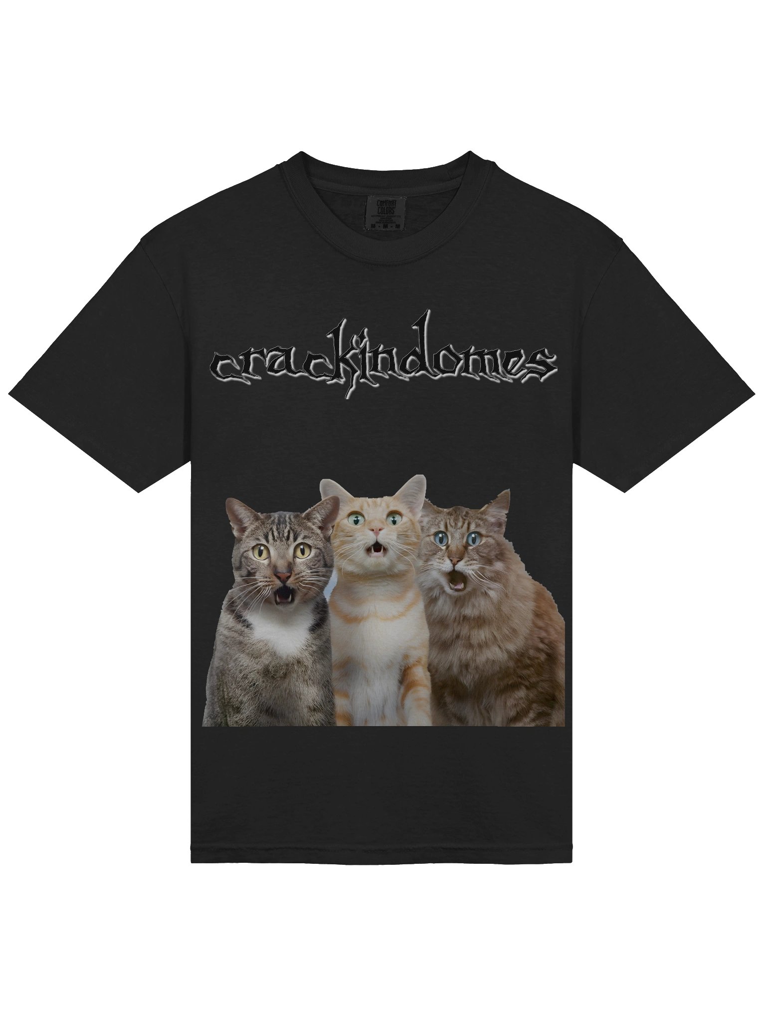 cat product image (3)