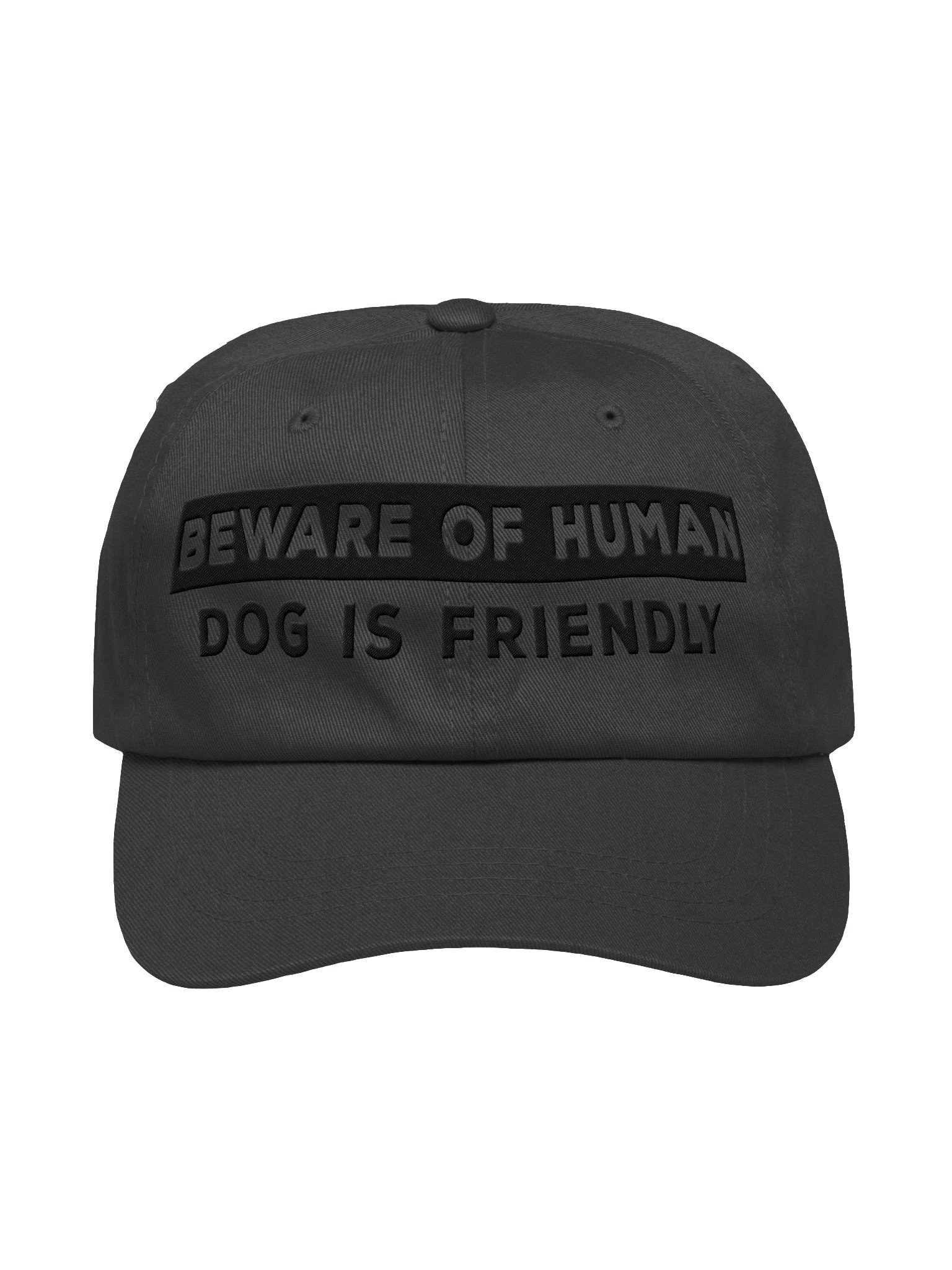 Beware of Human. Dog Is Friendly (Embroidered) Low Contrast (Black) Classic Dad Hat product image (1)