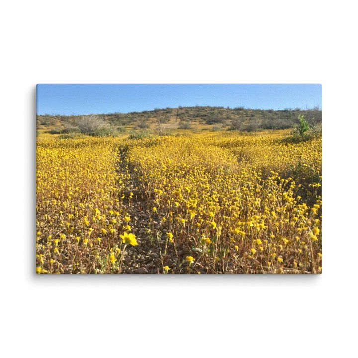 Canvas Print - Trail thru the Wildflowers product image (1)