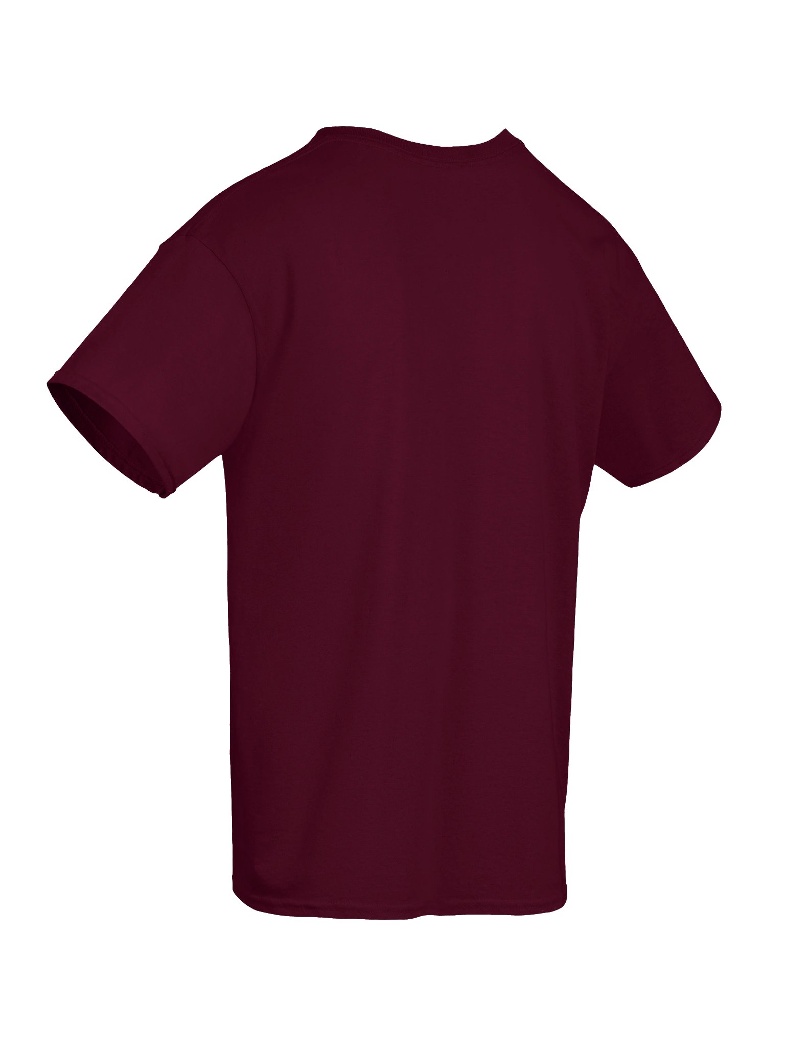 Temple of Endurance T-Shirt product image (27)