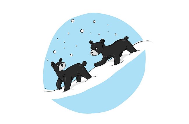 Bears! Bears! Bears! (And Other Critters)
