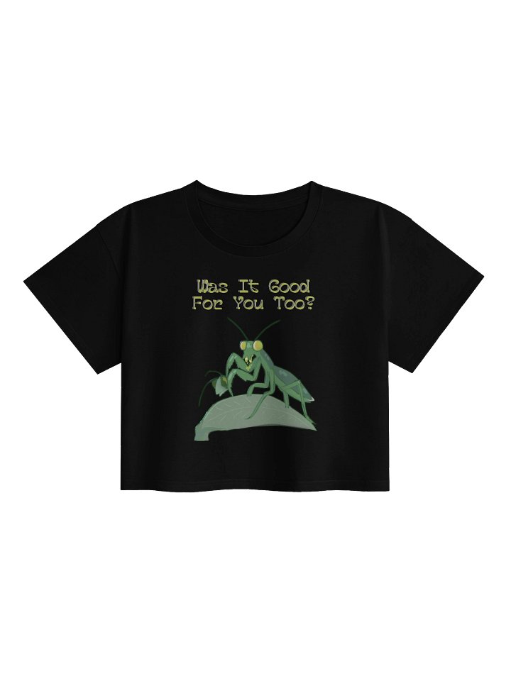 Was It good for you too? Crop Tee product image (3)
