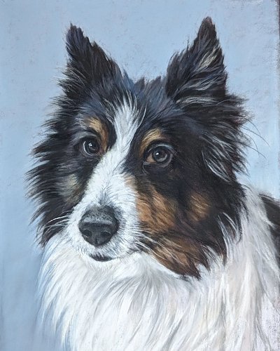 Portrait of Aries. #petpainting #petportrait #pastelpainting #pastelmat #bordercollie#パステルアート #ソフトパステル