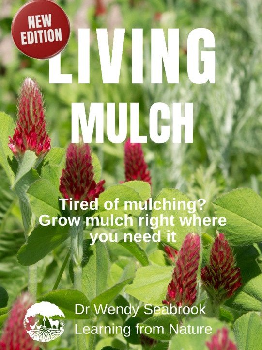 Living Mulch product image (1)
