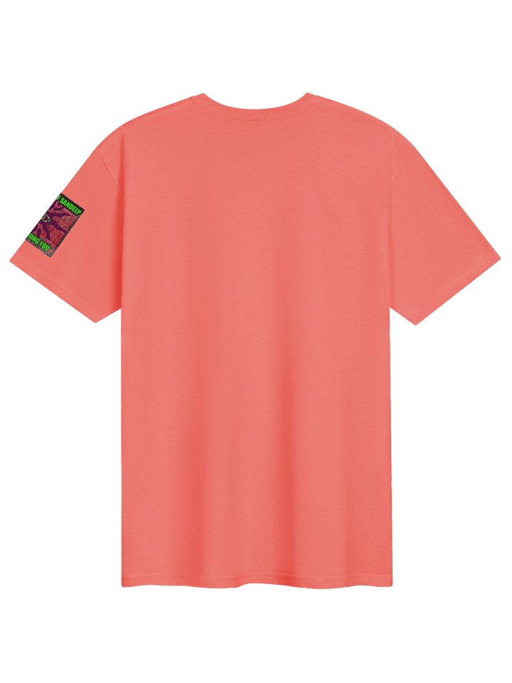 Steal of Approval Graphic T product image (122)