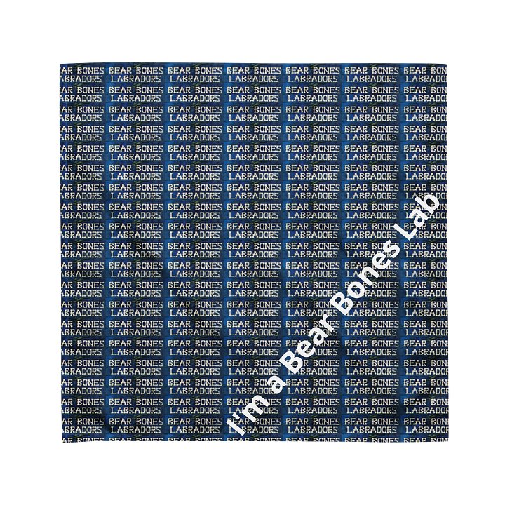 Bandana product image (1)