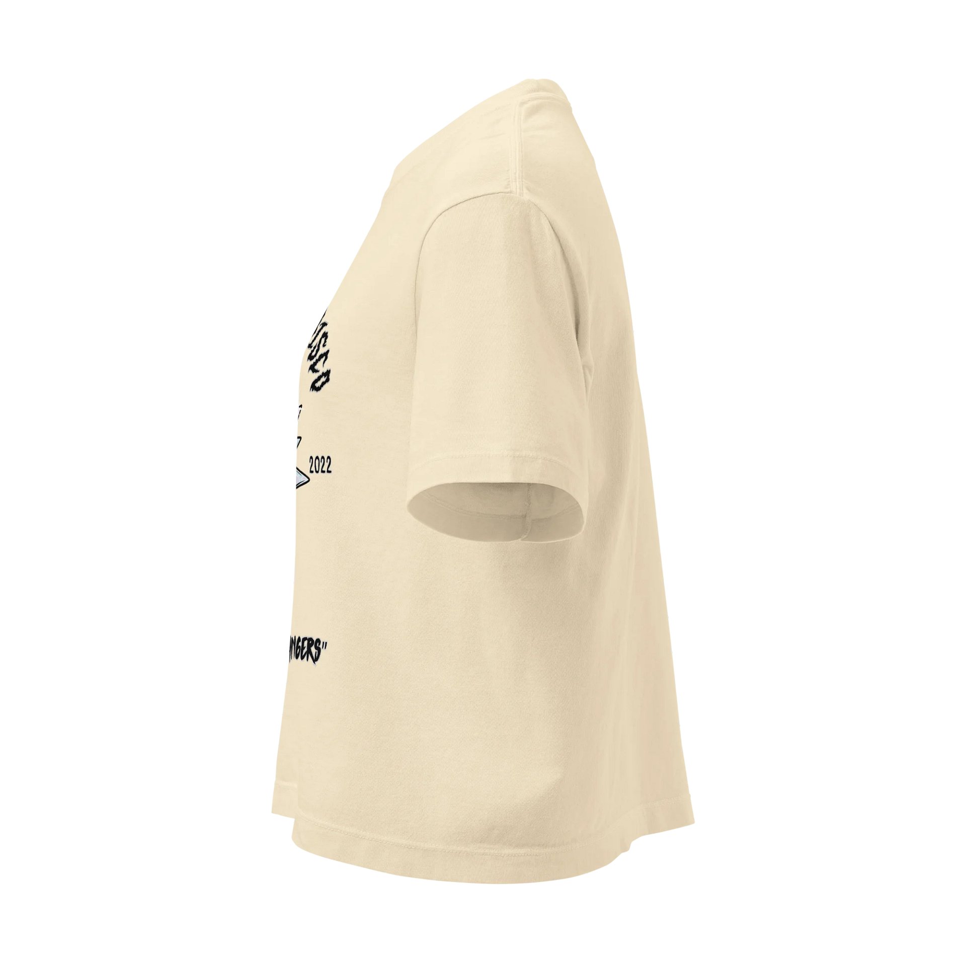 Death Disco Boxy Tee - Light product image (7)
