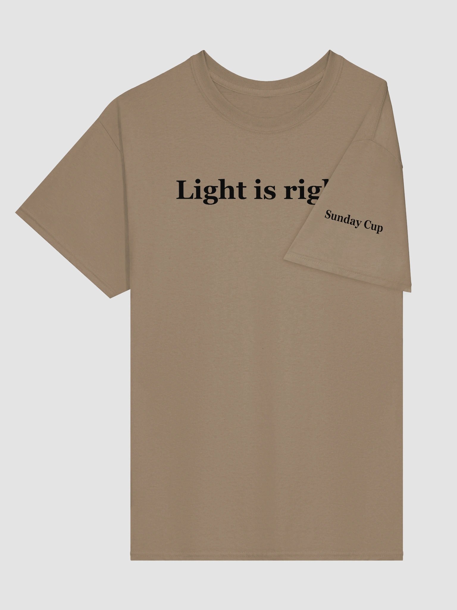Light is Right (clean, gildan tee) product image (17)