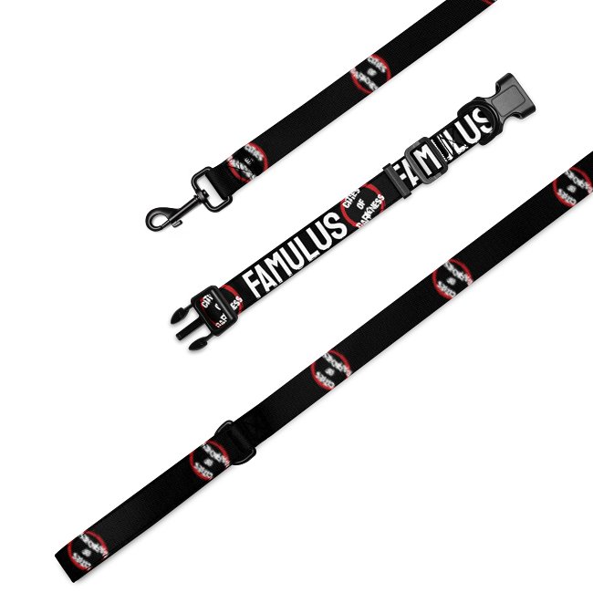 Collar and Leash Sets