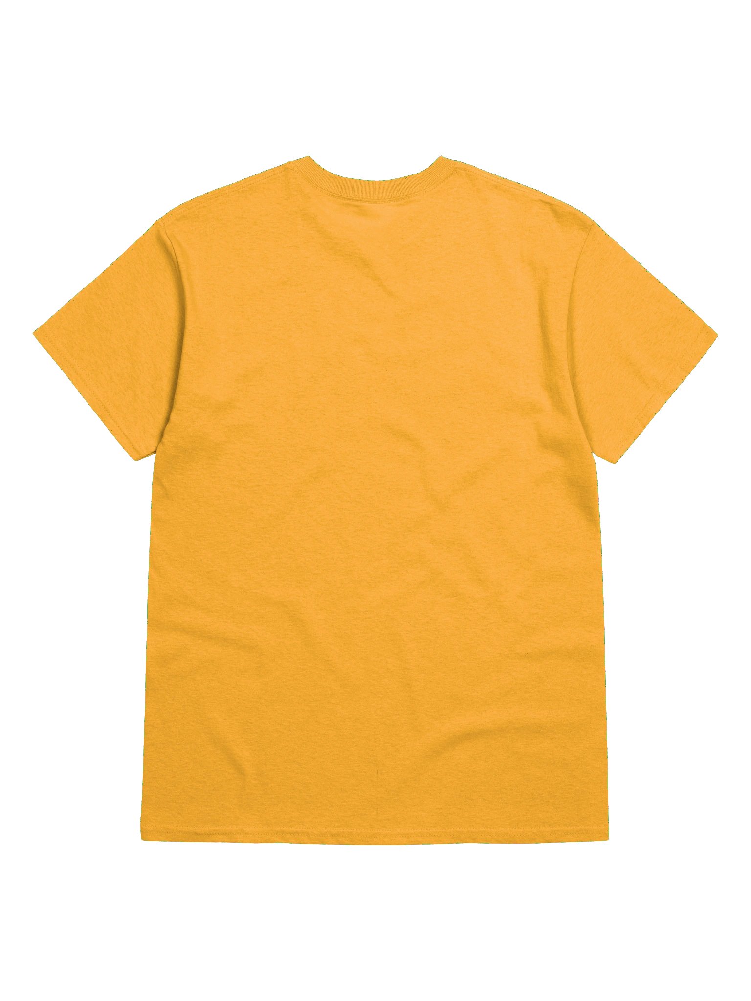 AppalShirt (Gold) product image (8)