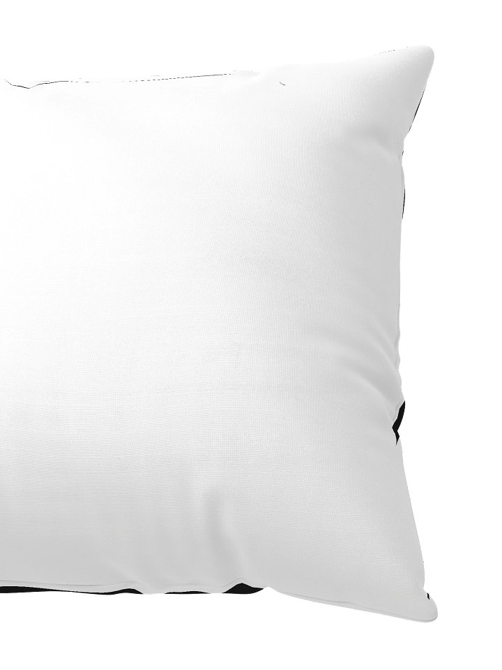 Airwaxx Pillow product image (2)
