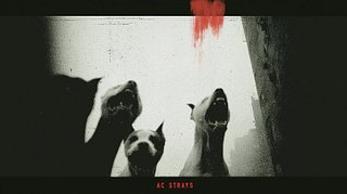 AC STRAYS