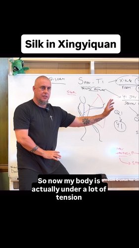 Pulling the silk (elasticated tissue) with Yi and Qi in Xingyiquan

#xingyi #santi #gongfu