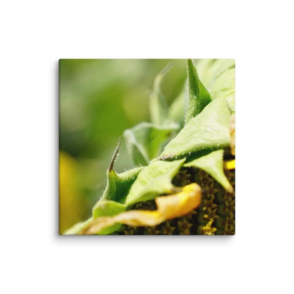 Sunflower Canvas product image (1)